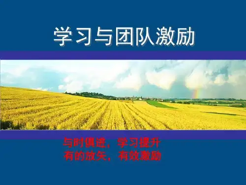学习与激励1 PPT课件