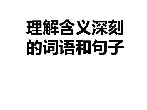 理解含义深刻的词语
