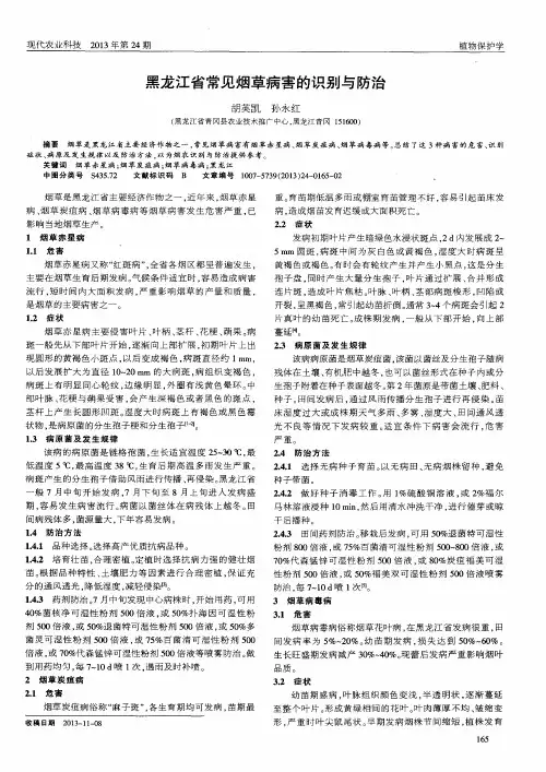 黑龙江省常见烟草病害的识别与防治