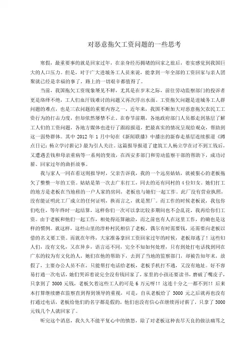 恶意拖欠农民工工资问题的思考