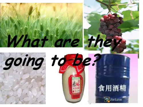 中国酒文化(英文版)