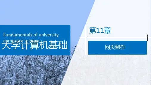 大学计算机基础——Windows 10+Office 2016 第11章 网页制作