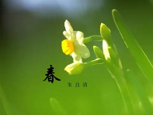 朱自清《春》