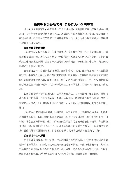 秦国宰相公孙衍简介