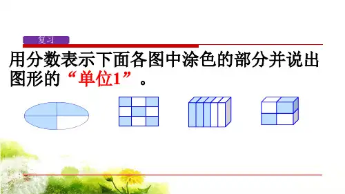 用分数表示整体的一部分