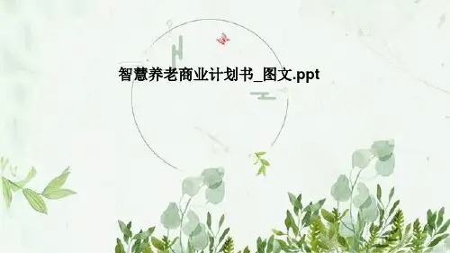 智慧养老商业计划书_图文