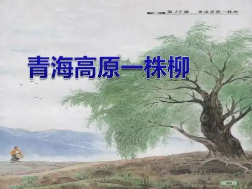 《青海高原一株柳》 精品PPT课件(共13张)