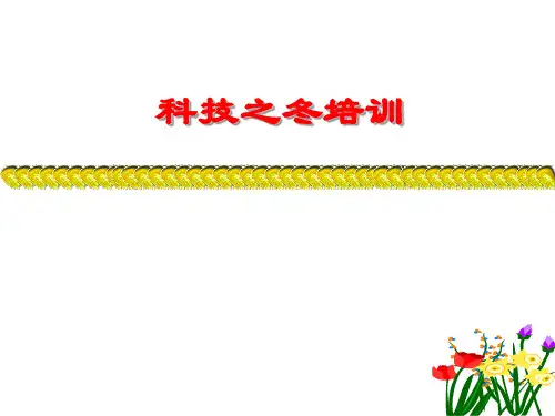 科技之冬培训