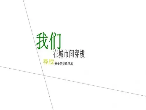 精美开场动画模板