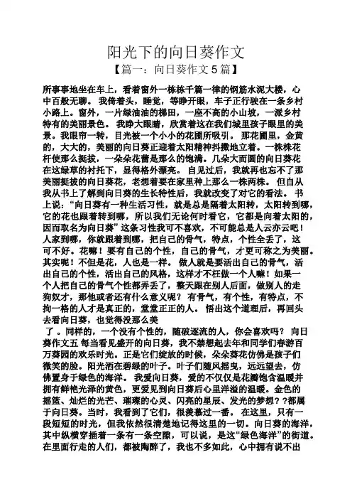 阳光作文之阳光下的向日葵作文