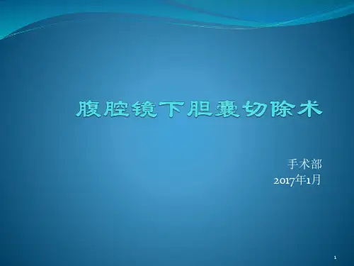 腹腔镜下胆囊切除术PPT课件
