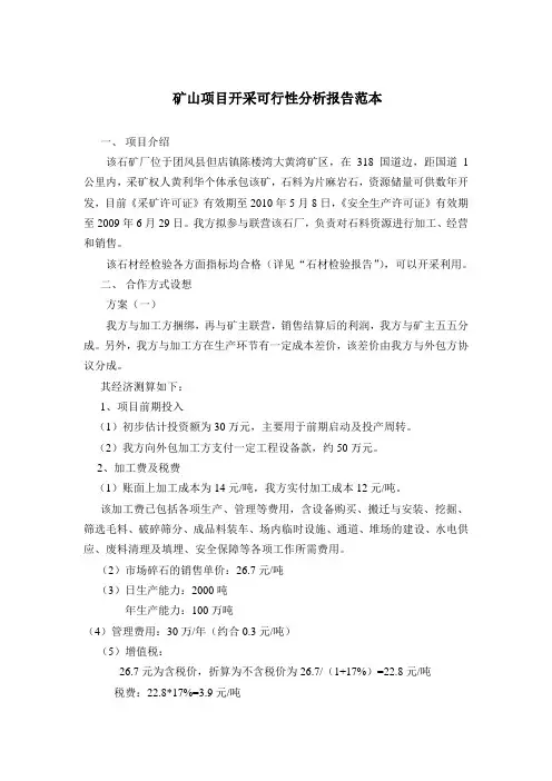 矿山项目开采可行性分析报告 