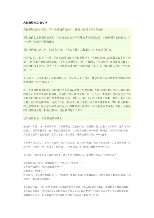 人物描写作文600字