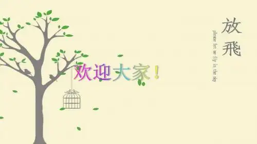 氧化还原反应总结报告 PPT