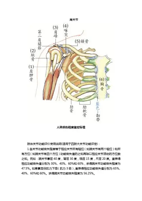 肩关节功能评分