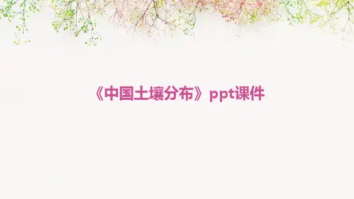 《中国土壤分布》课件