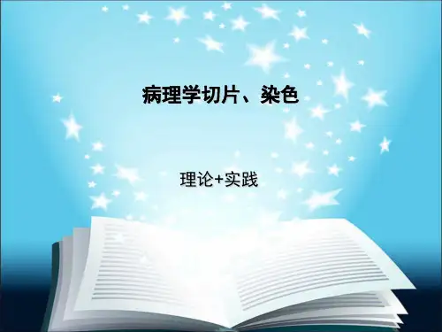 病理切片方法