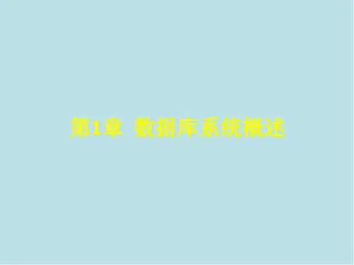 数据库技术原理与Access 2013第1章  数据库系统概述