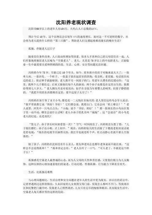 沈阳养老现状调查