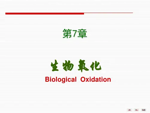 第06章生物氧化(12医本)