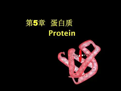 Chapter5 Protein 食品化学 蛋白质