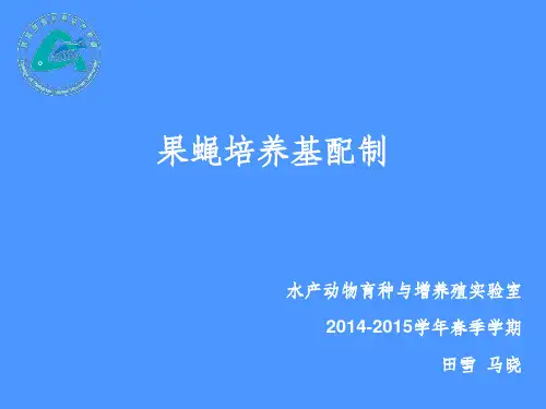 果蝇培养基配制
