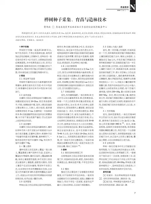 桦树种子采集、育苗与造林技术