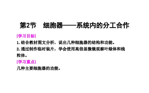 高中生物 人教版 必修1  3.2细胞器—系统内的分工合作 课件