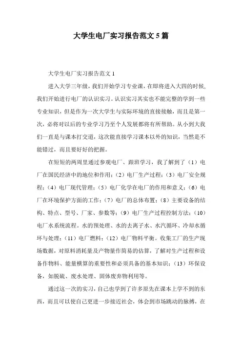 大学生电厂实习报告范文5篇