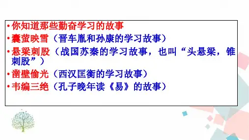 11送东阳马生序(共31张PPT)