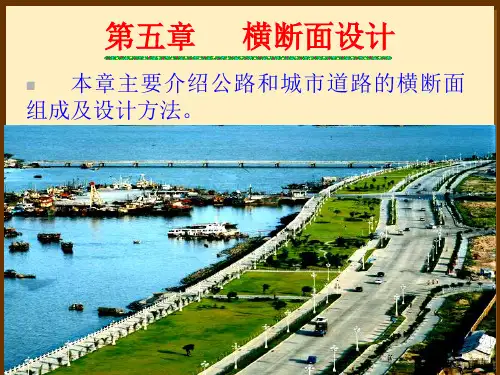 第五章 横断面设计