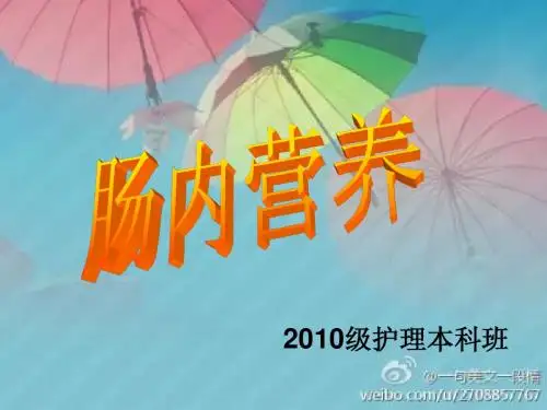 肠内营养