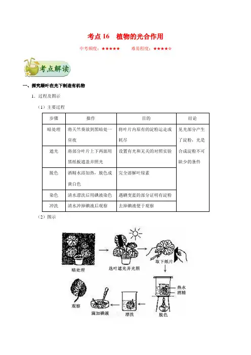 生物中考考点专题训练及答案解析16：植物的光合作用