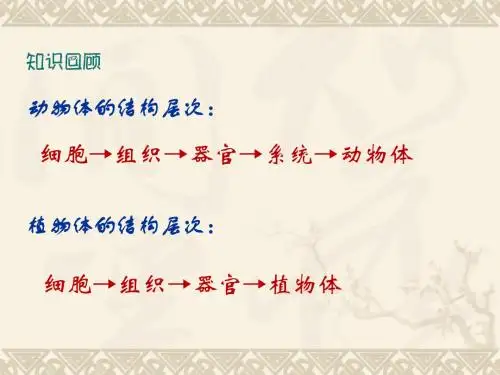 2.2.4 单细胞生物