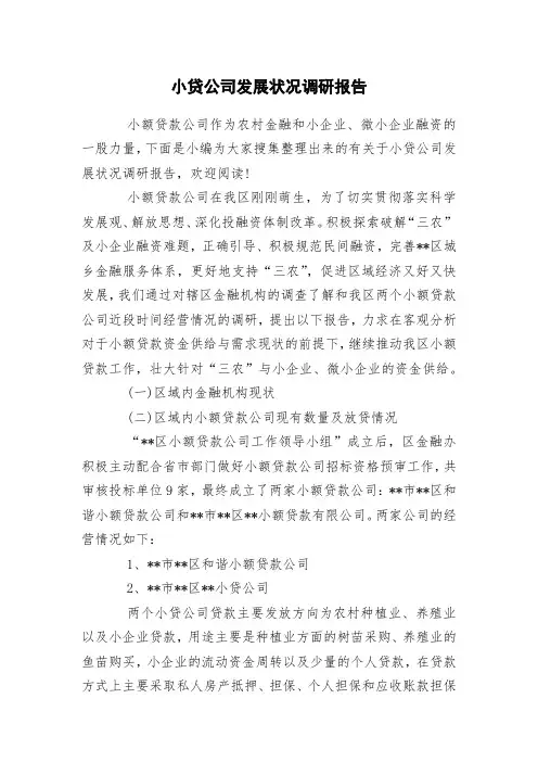 小贷公司发展状况调研报告