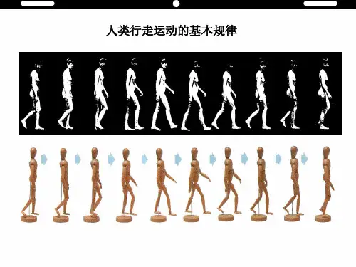 动画人物的运动规律