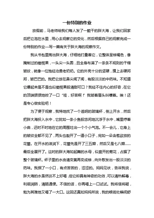 五年级作文：一份特别的作业作文600字