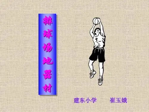 排球场地器材_崔玉娥