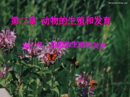 八年级生物上册第二章第一节昆虫的生殖和发育