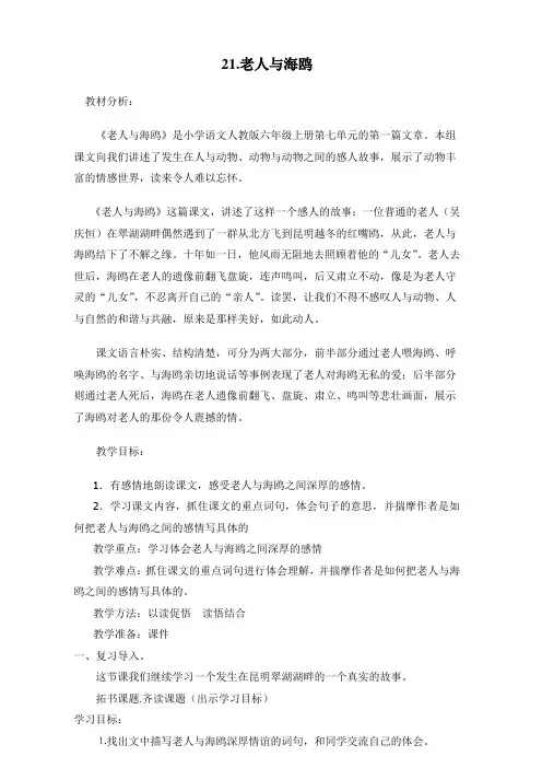 21.老人与海鸥