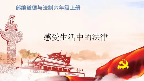 道德与法治部编版六年级上册第1课感受生活中的法律课件
