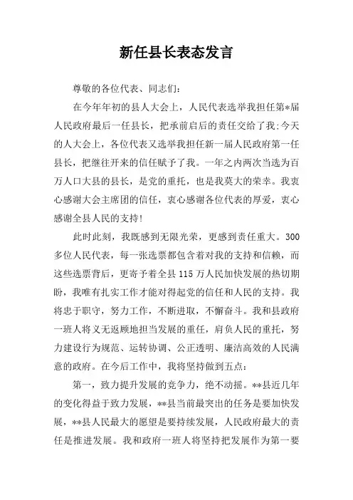 新任县长表态发言