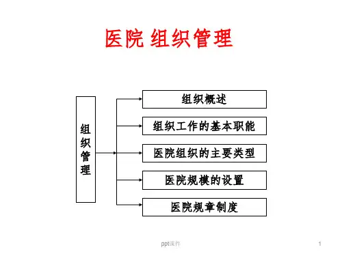 医院组织管理 ppt课件