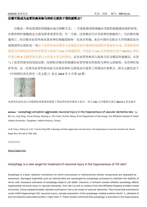 自噬可能成为血管性痴呆海马神经元损伤干预的新靶点？