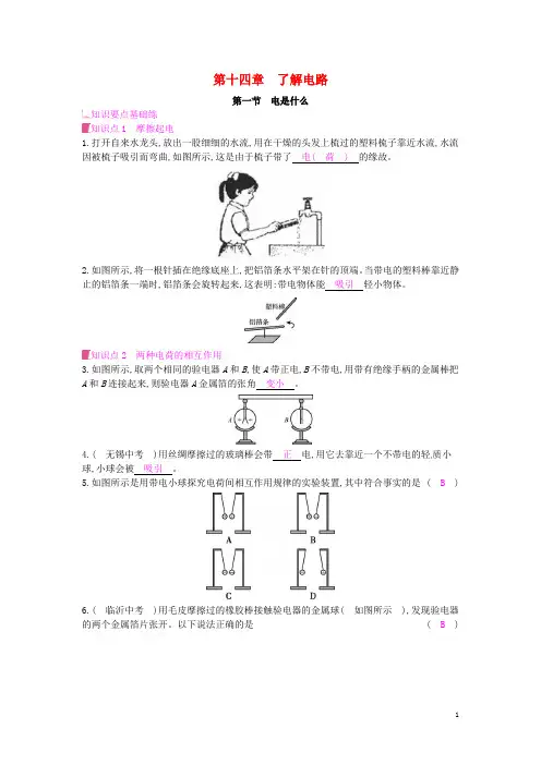 九年级物理第十四章了解电路第一节电是什么课时作业沪科版