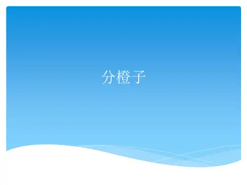 案例:分橙子