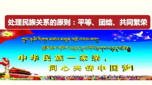 8.1 处理民族关系的原则(优质课件)(共21张PPT)