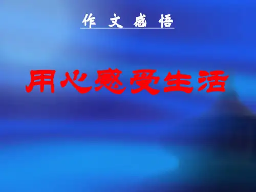 高中作文_作文感悟:用心感受生活