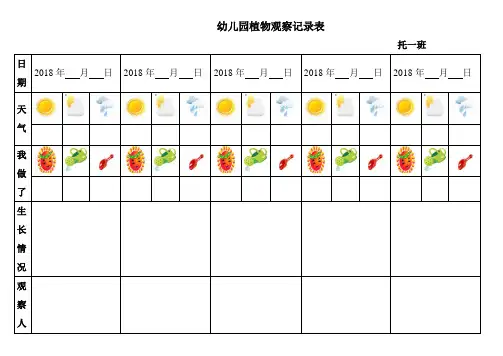幼儿园植物观察记录表格