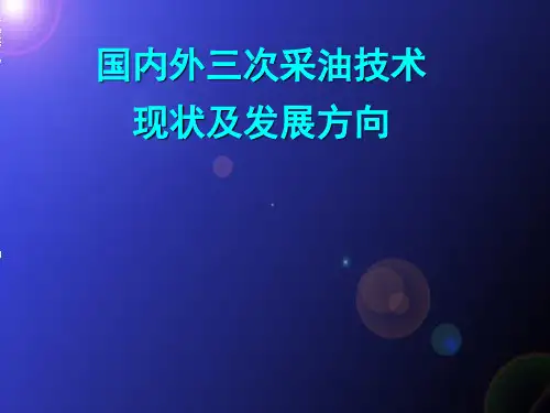 补充：三采技术发展方向----气驱讲完之后分析